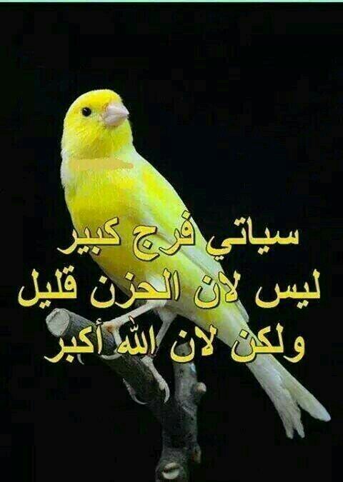 reemalgamdi112's profile picture. 