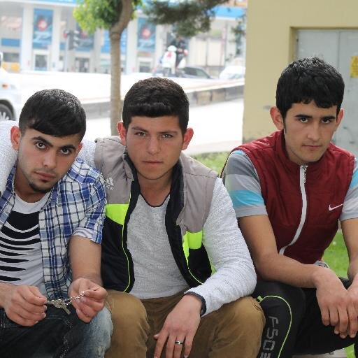tavukçu kral