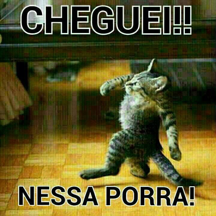 gosto de assistir filmes, e jornais, gosto de pizza e animais