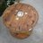 LisaHartley15's profile image