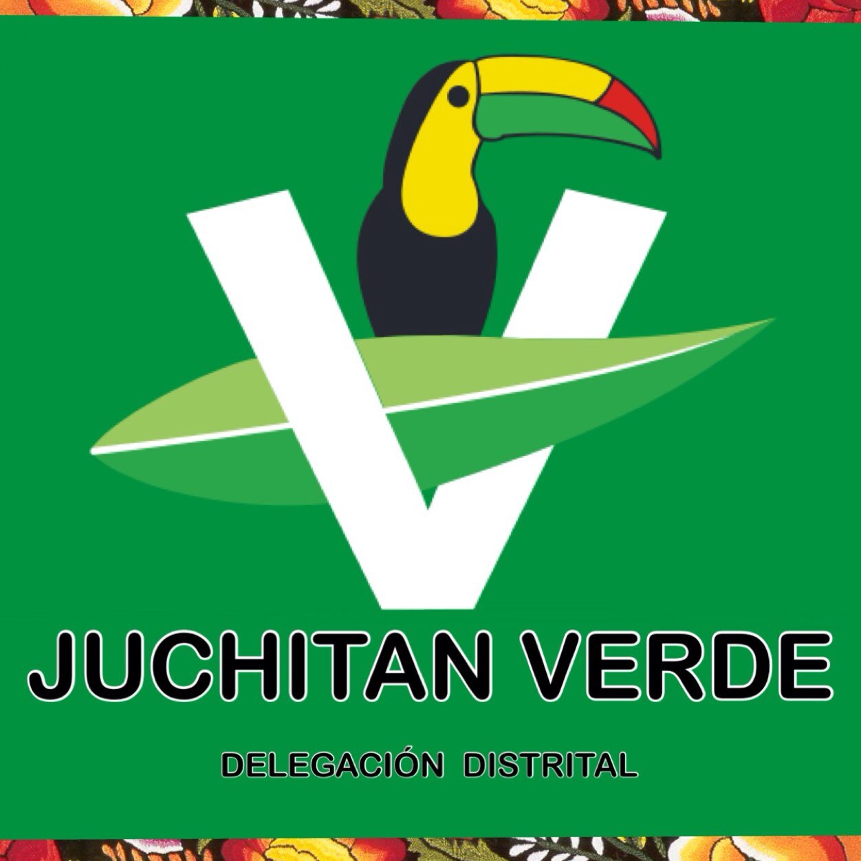 Partido Verde Ecologista De Mexico; Distrito Juchitan de zaragoza oaxaca