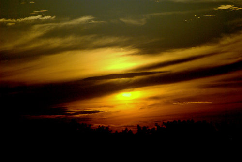 smc91766's profile picture. I like to cook I also enjoy fishing and photography