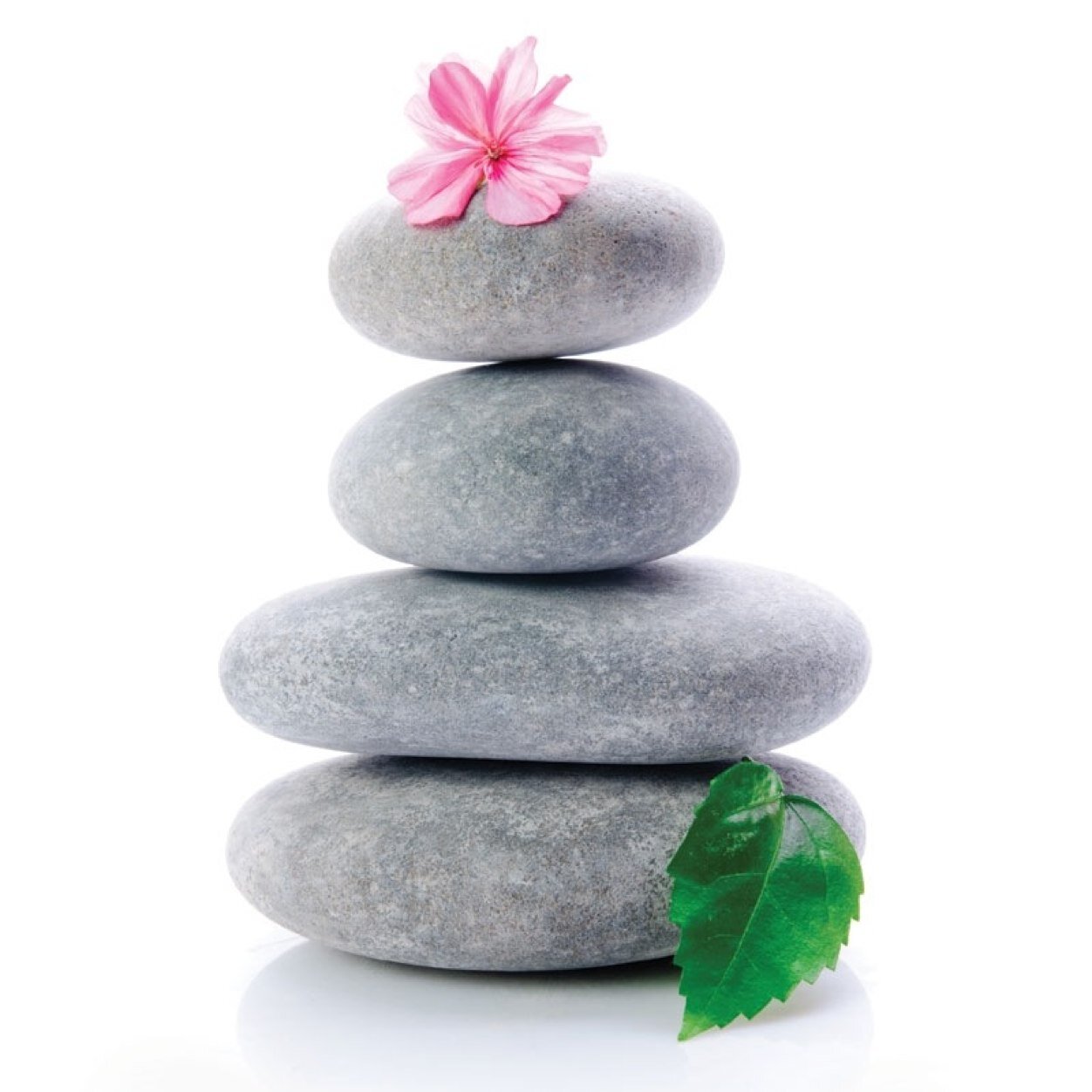 HawthornHollow's profile picture. We are a quaint, full service Salon & Spa in the beautiful aquatic community of Waverley, NS. We look forward to catering to all of your beauty needs.