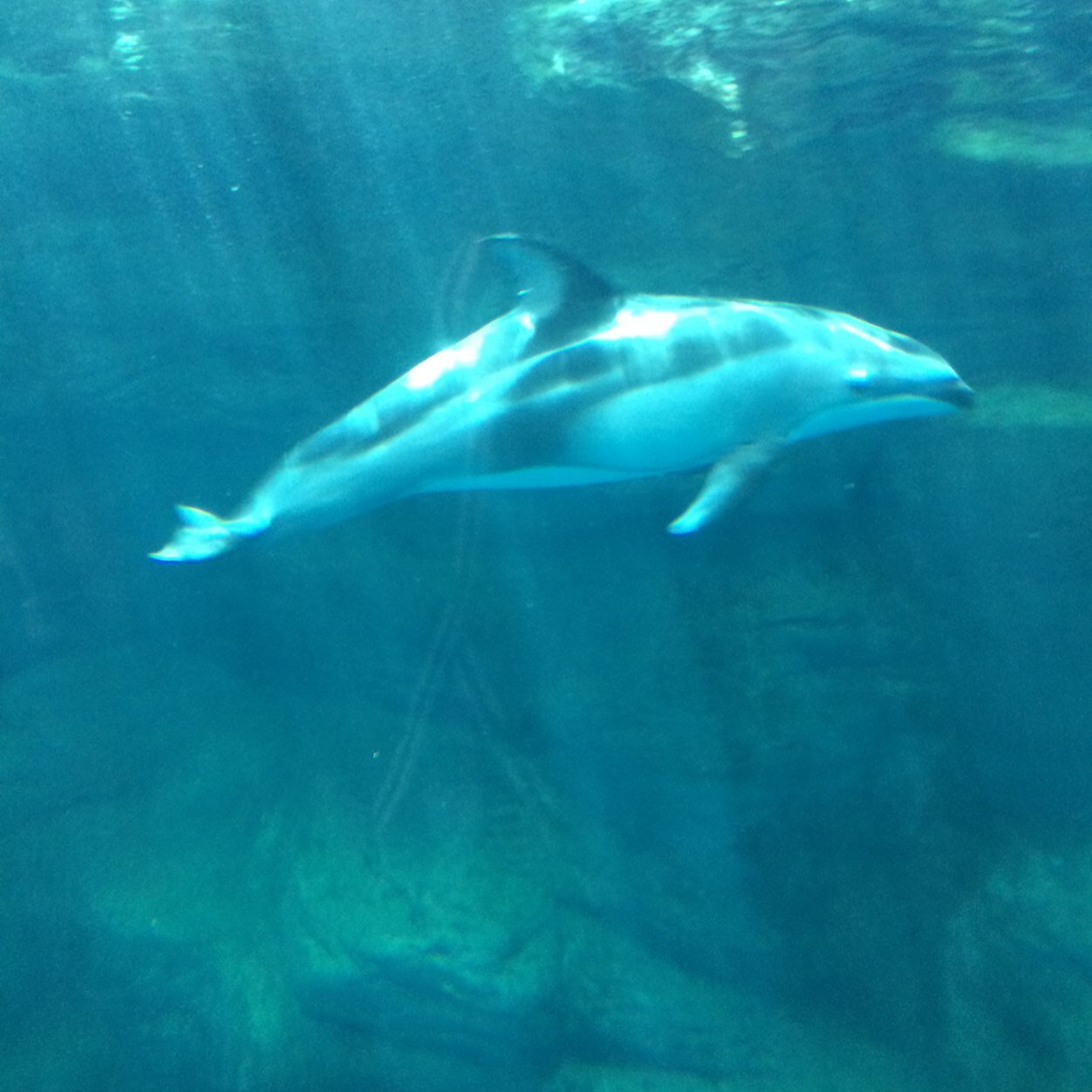 hkhb3hssah's profile picture. お得な情報や役に立つ情報をツイートしていきます。エロ系多め。