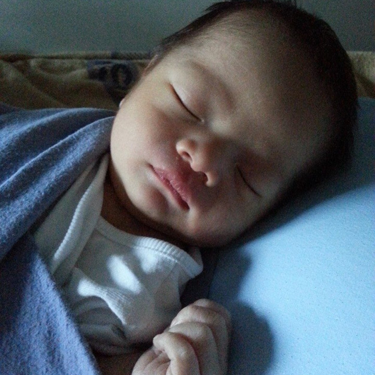 udomcheng's profile picture. 