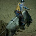 baylee king  - @bayleeking30 - Twitter