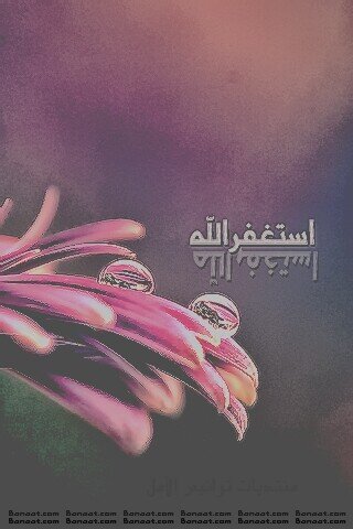 ‏‏اللهم اغفر للمؤمنين والمؤمنات الاحياء منهم والاموات