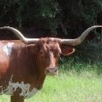 A. Keith Rowell (@akeithrowell) 's Twitter Profile