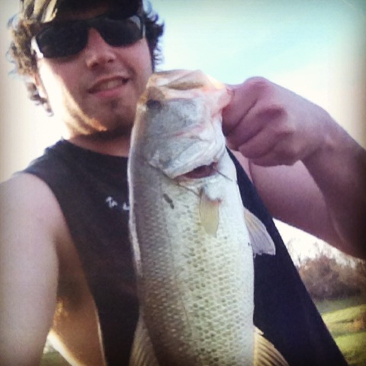 thegreatgreer's profile picture. 