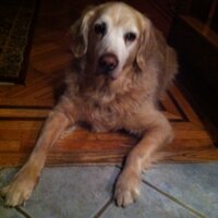 Erin (@erinmj21) 's Twitter Profile Photo