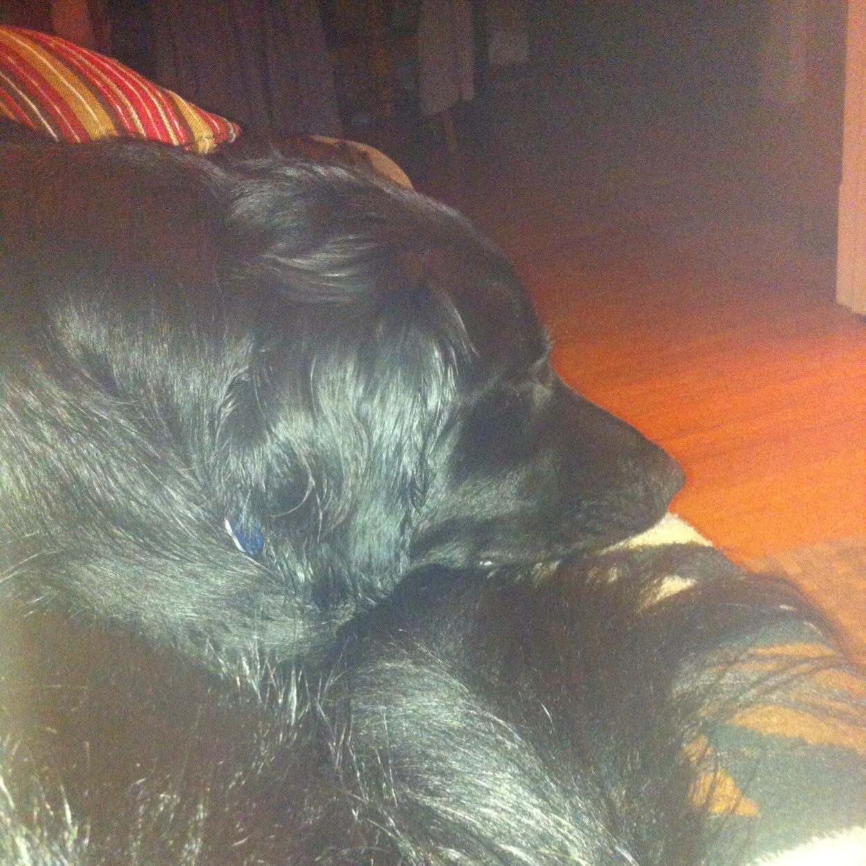 Serenie_S's profile picture. 