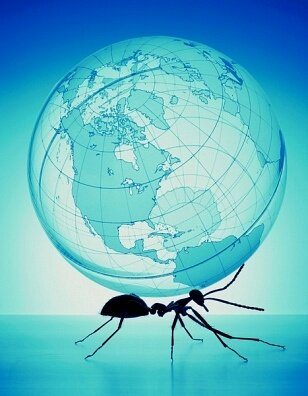 SpinelessSoc's profile picture. Spineless - the Invertebrate Appreciation Society. Promoting the love of and the Conservation of all things spineless! #buglove