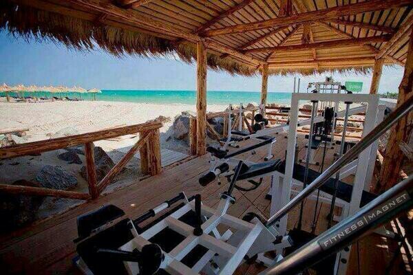 Daily tips and motivation on living the fitness life, go get It! #fitfam