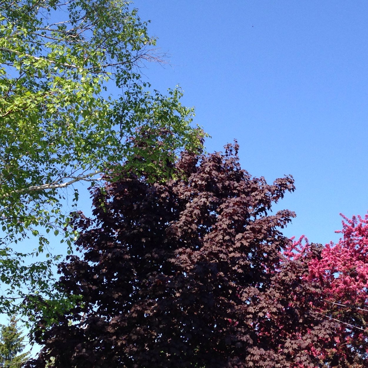 jenbartels6's profile picture. 