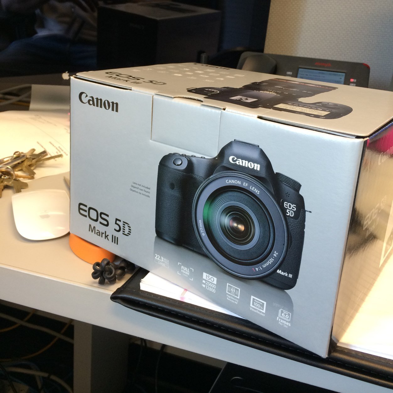 iolight's profile picture. Atlanta Photographer