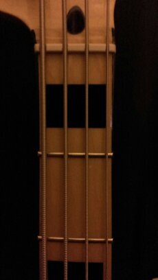 Bassist for Lady and the Lion https://t.co/owhZ7sw6X9
