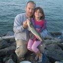 steve hammer - @stevehammer9 - Twitter