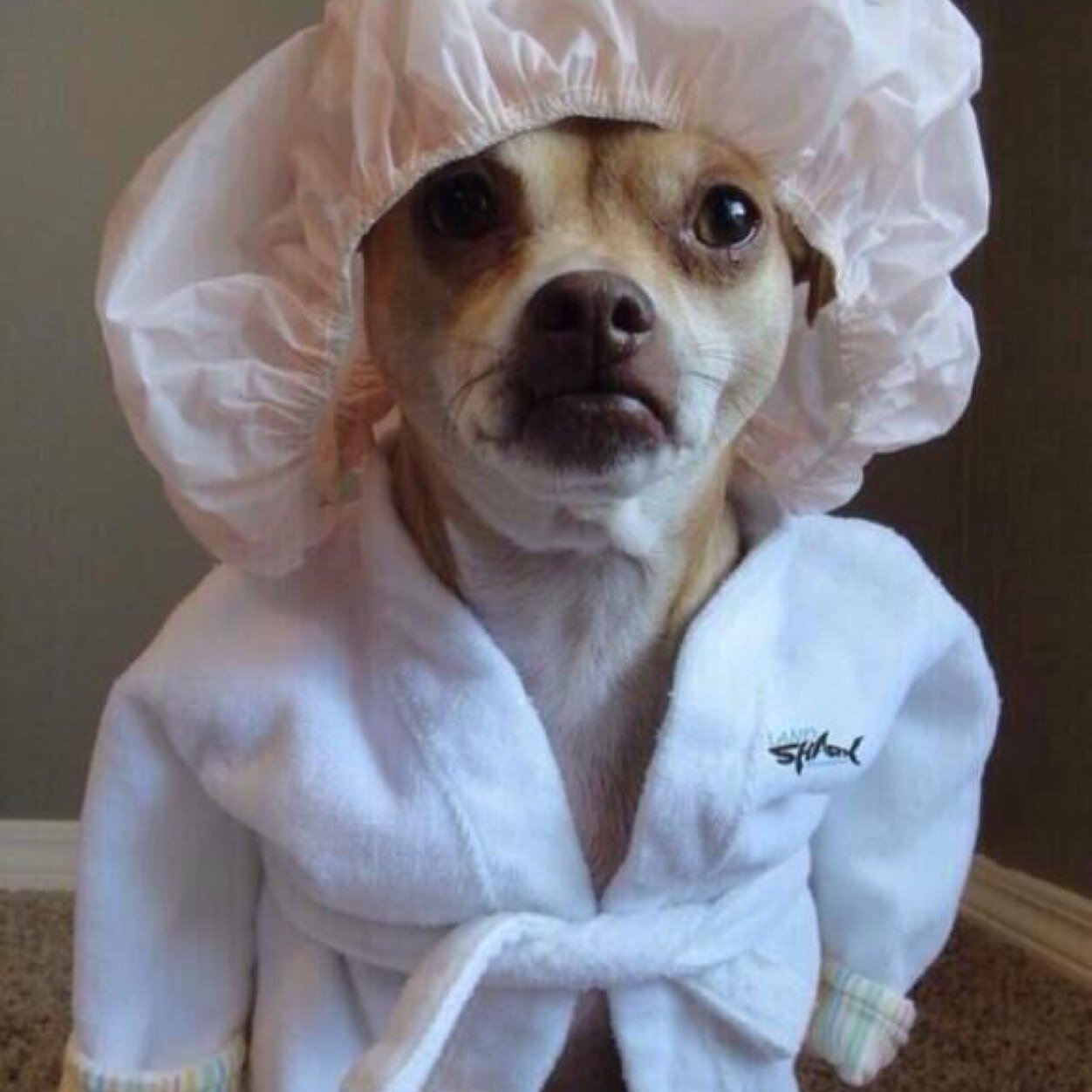 AyySuaiMing's profile picture. 