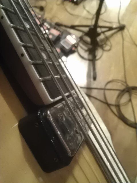 Contrabass - Electric Bass. Musicien. On tour with @sietevecesadios