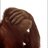 phishbed's profile image