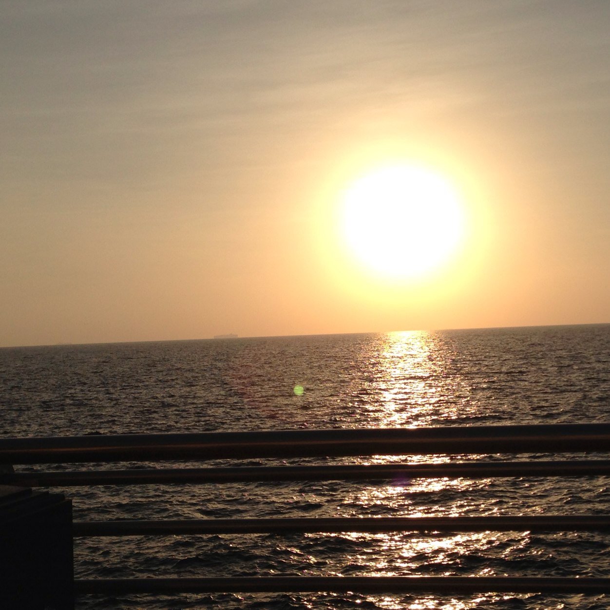 tariq0039's profile picture. 