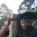 Fred adamson - @feadamson - Twitter