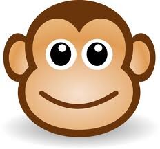 emonkeytest's profile picture. 