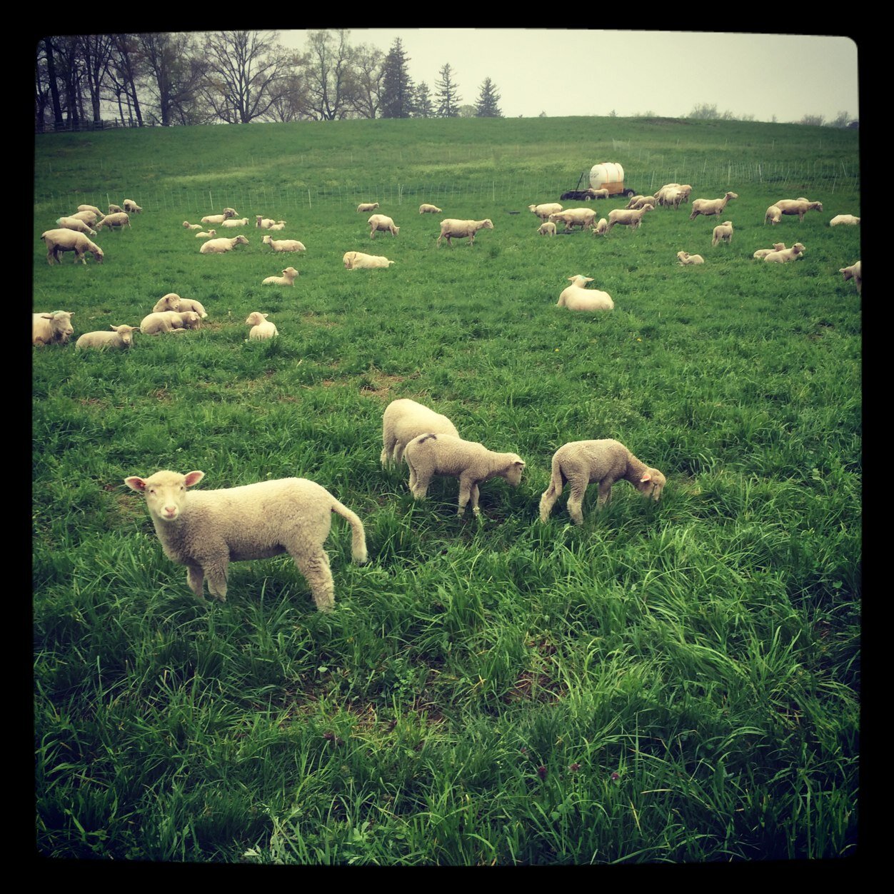 PostdocDrama's profile picture. The shitty side of academia that is no secret to the scientists.