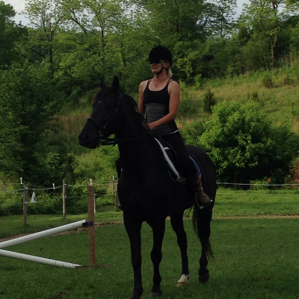 HorseHolistic's profile picture. 