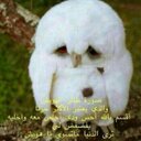 ممن انتم (@0538569505) Twitter