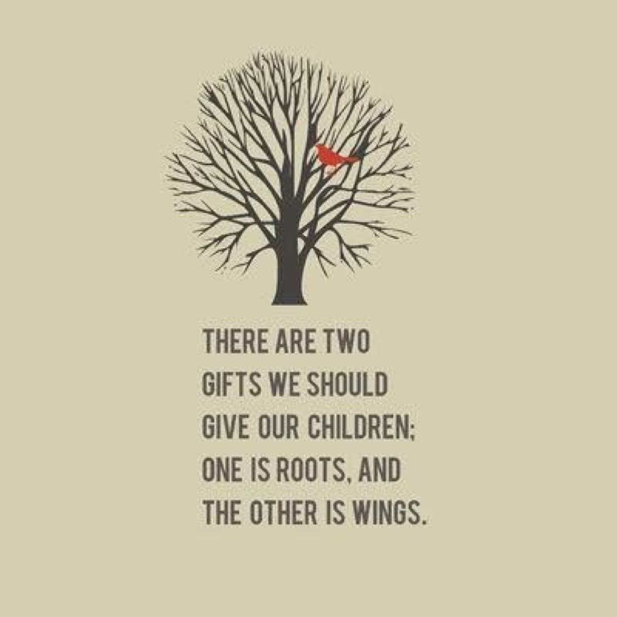 CindyE57's profile picture. Wife to a loving husband, mother to two amazing adult children and most importantly, Nonna to 5 yes FIVE sweet little boys!! I'm very blessed!