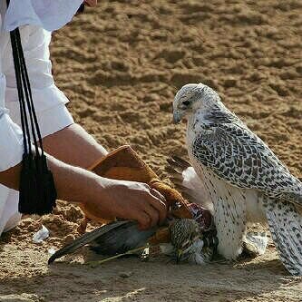 ‏‏‏‏‏‏♥استغفرالله♥