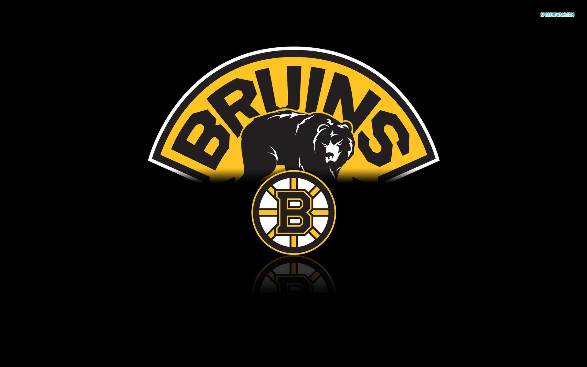 I bleed Black and Gold and i love the Bruins more then life itself Go Bruins Go