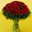 عالية الدغمة (@1977_alia) Twitter