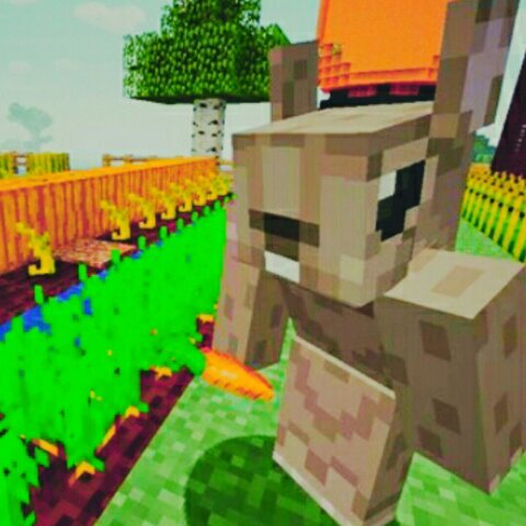 Modern Builder of Art of Craft