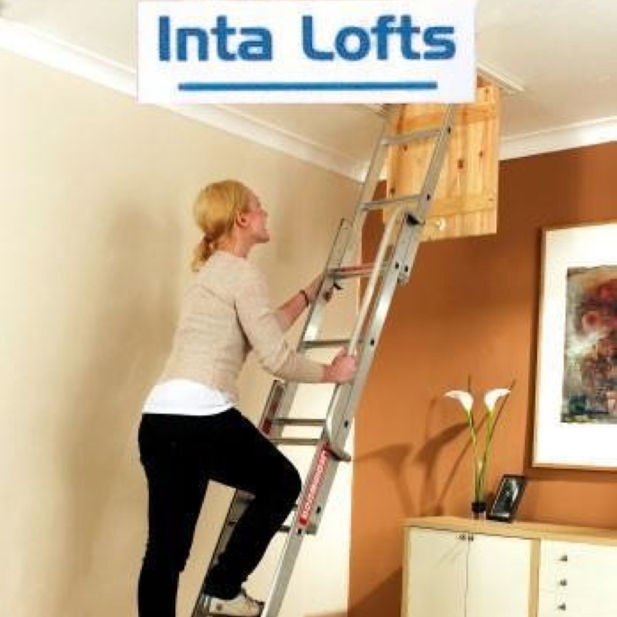 Inta Lofts is a family run business that provides and installs loft ladders, boarding, lighting and insulation. 
All at very competitive prices!