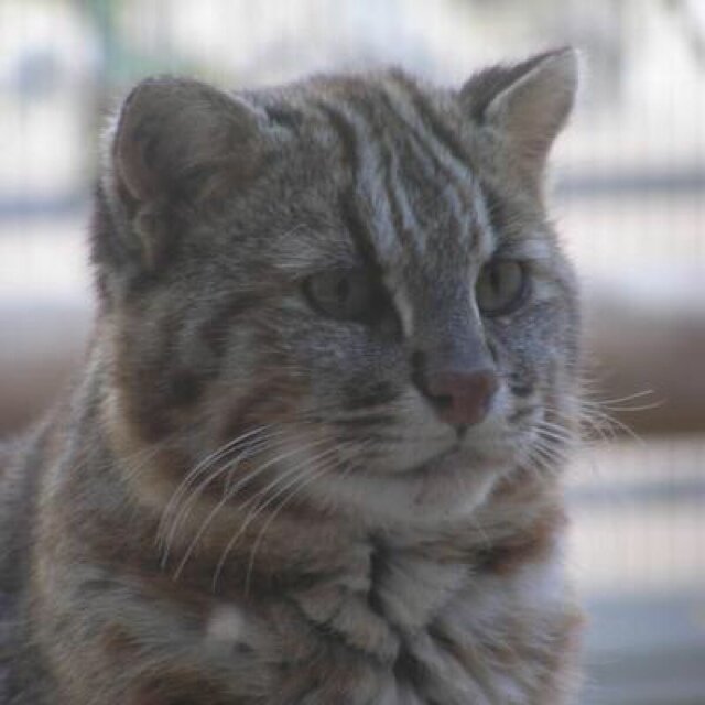 sogno40's profile picture. 둥글게~둥글게~