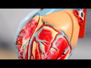 DaMedStudent's profile picture. So Close to graduating,I can smell it (;                        http://t.co/AHWy3Pf8Ah