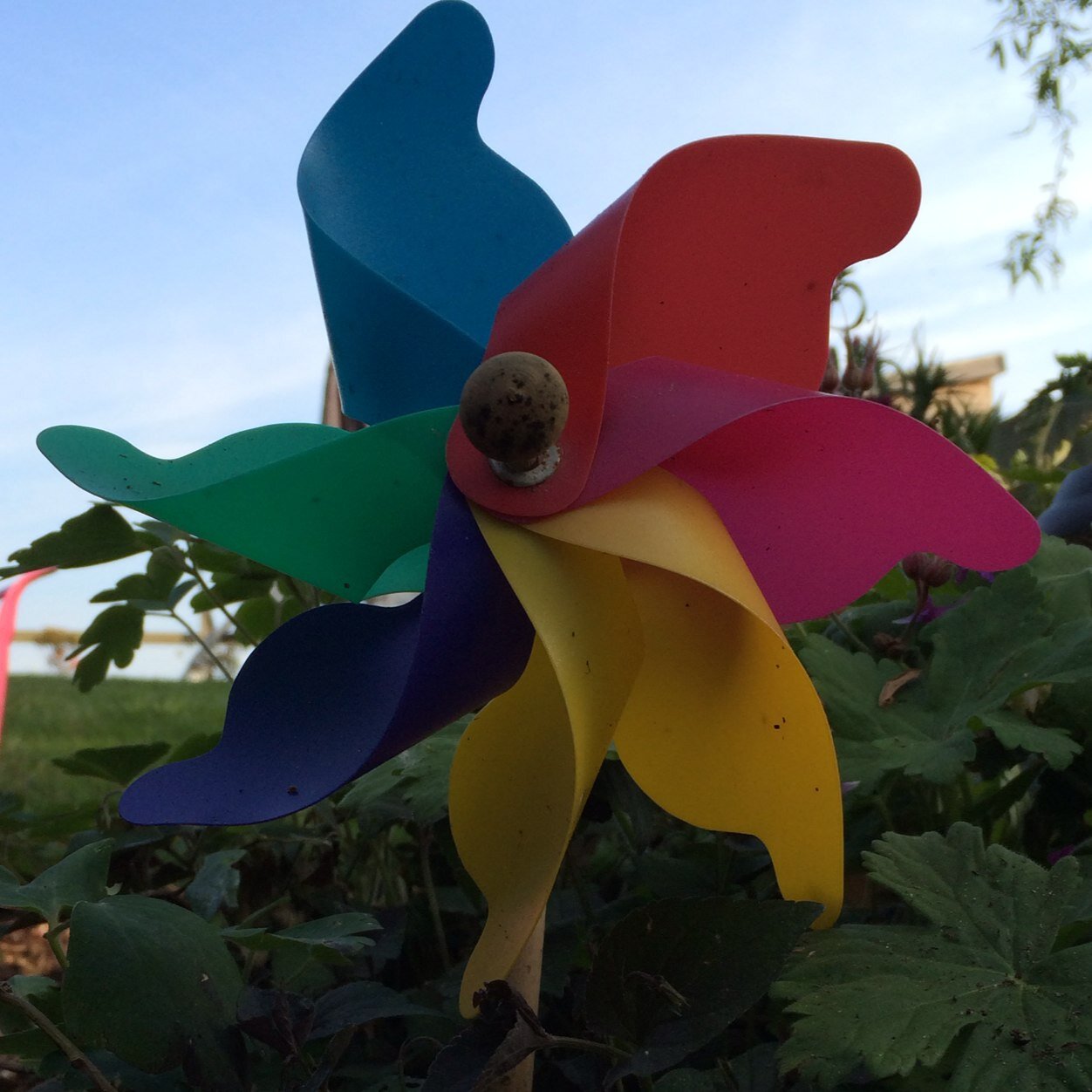 pmddvsme's profile picture. Rantings, ramblings and random thoughts from a #pmdd sufferer.