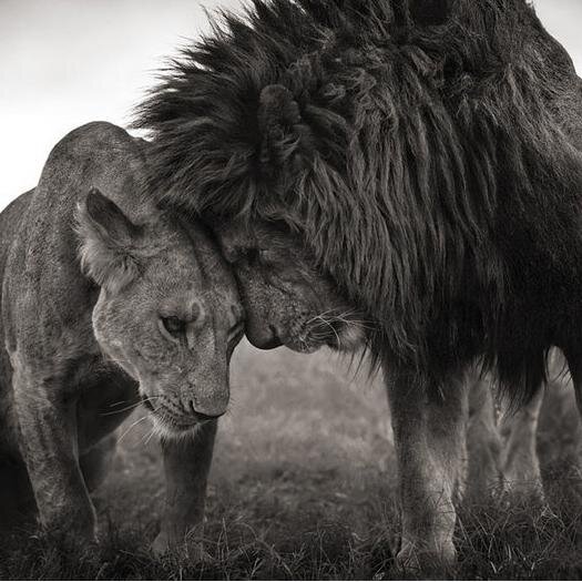 Noreagaa91's profile picture. 