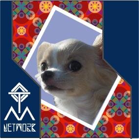 TM NETWORK★