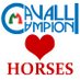 Cavalli Campioni (@cavallicampioni) Twitter profile photo