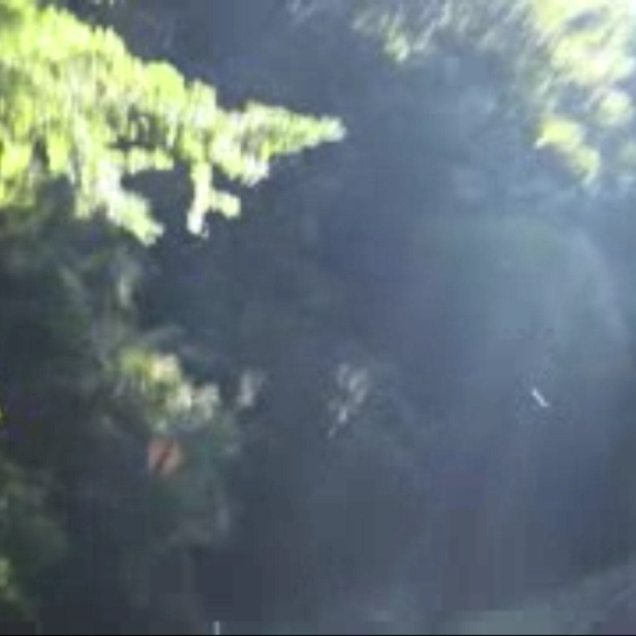 クラムボンが好き。