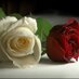 Usman Ali (@usmanaliapl) Twitter profile photo