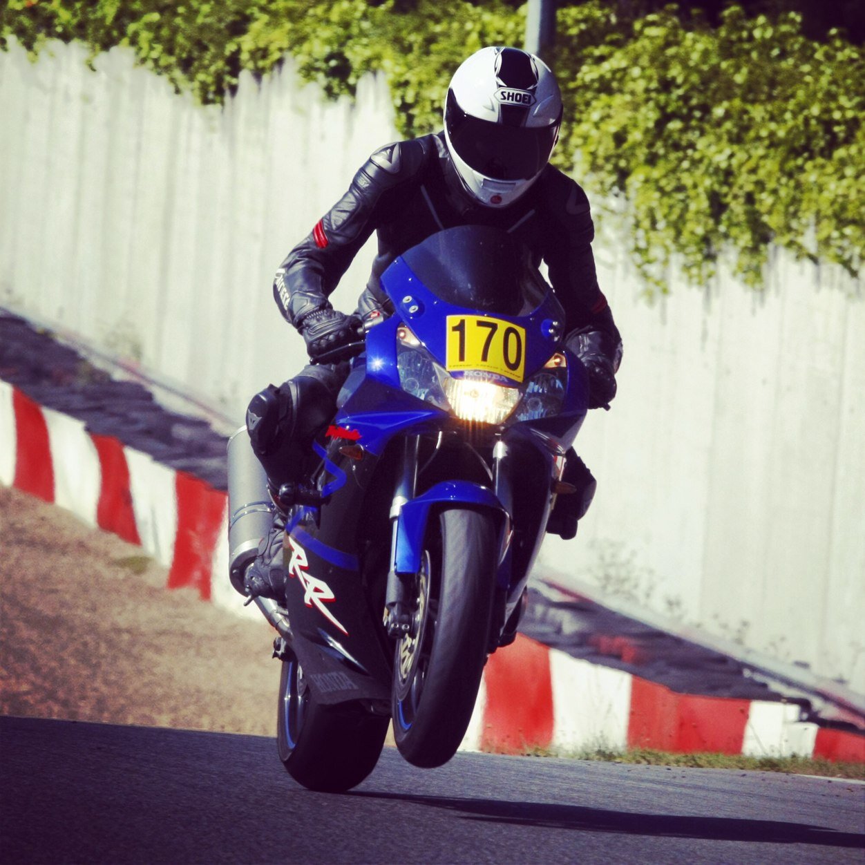 Garage Touw / Koudekerke / Honda Fireblade 954 / MGF / Ford Fiesta XR2 / Mini Cooper S / Karting / Living life to the fullest!