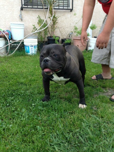 jthao076's profile picture. 