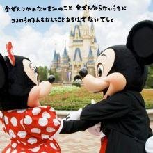 はじめてで緊張しています(&gt;_&lt;)よろしくお願いします♪趣味：ピアノ♪誰似：芹那ちゃんと言われたことがあります性格：あまえんぼ好きな食べ物：スイーツ好きなﾀｲﾌﾟ：誠・・・