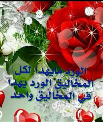 galaxynote166's profile picture. 