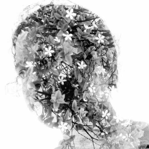 tessaforever21's profile picture. Critic. Writer. Hermit.