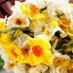 Scented Narcissi (@scentednarcissi) Twitter profile photo Scented Narcissi (@scentednarcissi) Twitter profile photo